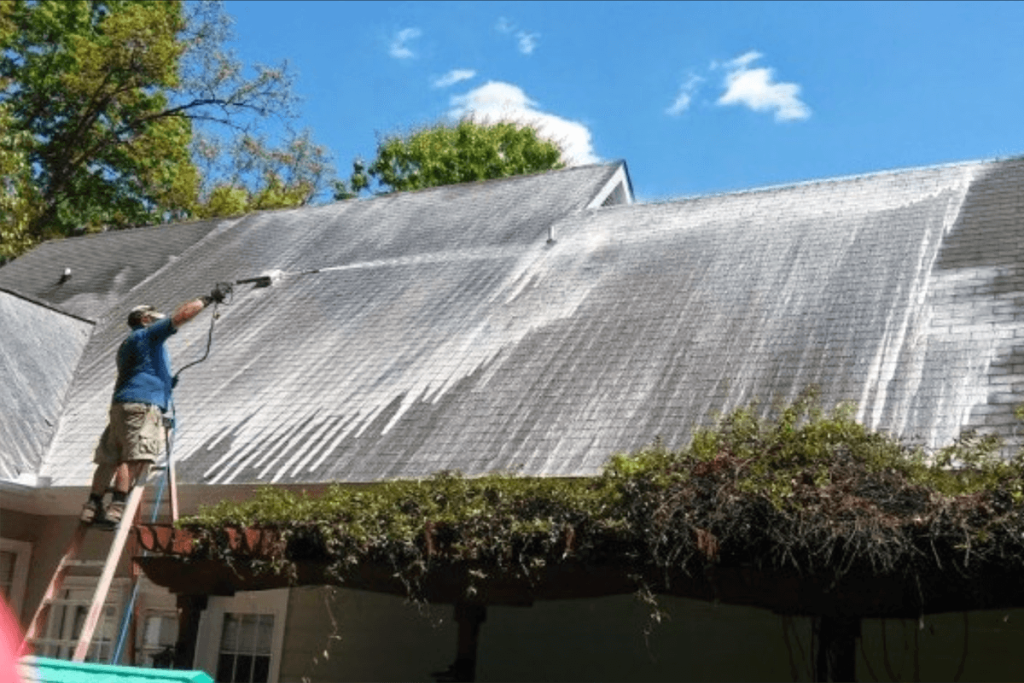 Best Soft Wash Roof Cleaning Services in St. Petersburg FL