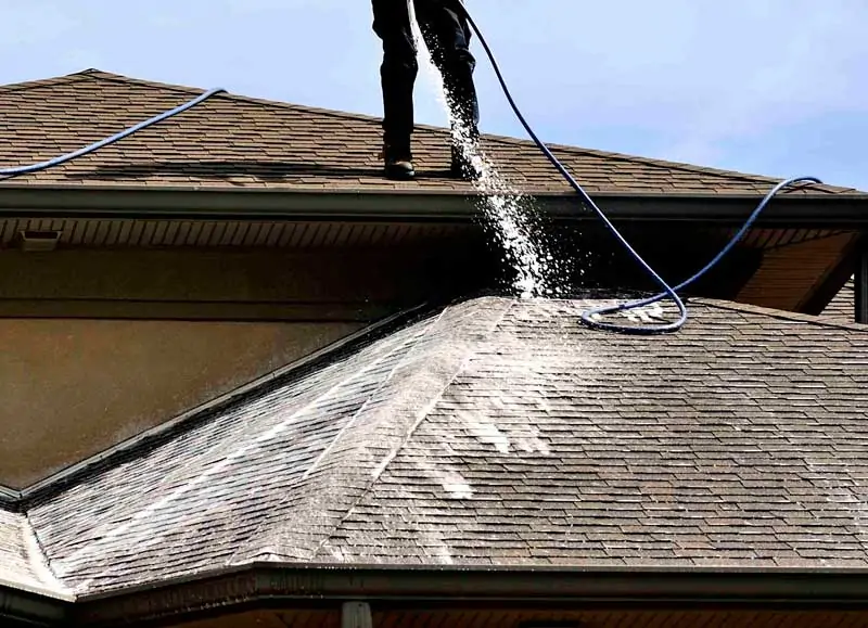 Best Soft Wash Roof Cleaning Services in St. Petersburg FL