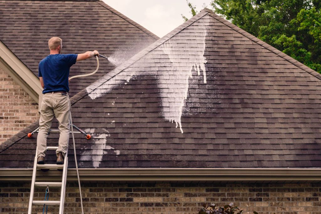 Providing Soft Wash Roof Cleaning Services in Pinellas Park, FL