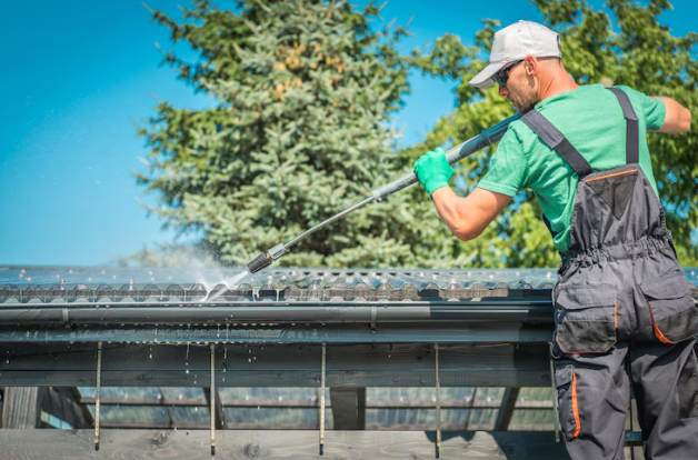 Top Soft Wash Roof Cleaning Services in Clearwater FL​