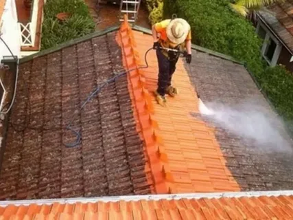 Roof cleaning